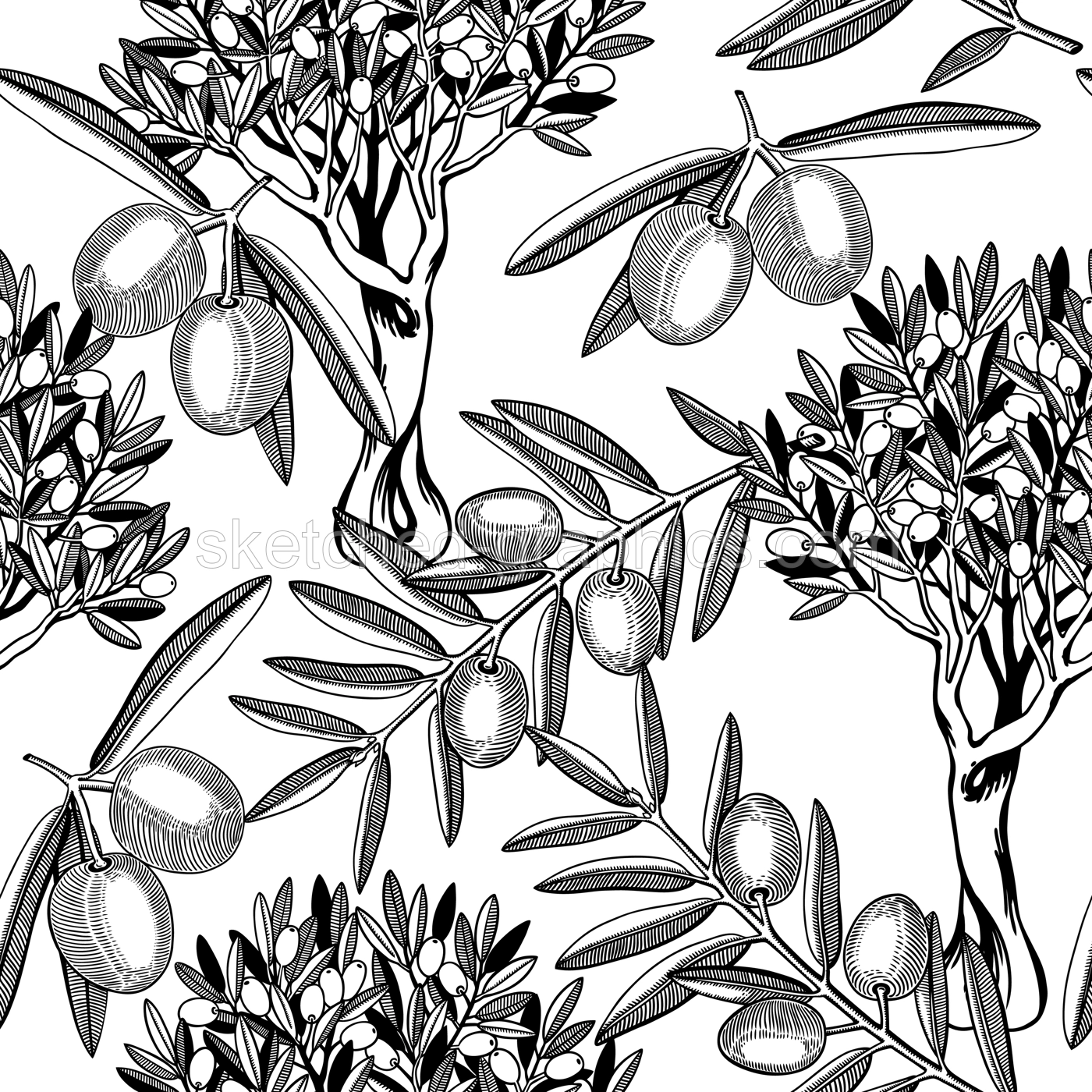 Olive tree vector background. Black contoured twigs with leaves and olive fruit. Natural olive oil ingredient seamless pattern. Healthy food plant design for print or packaging Illustration